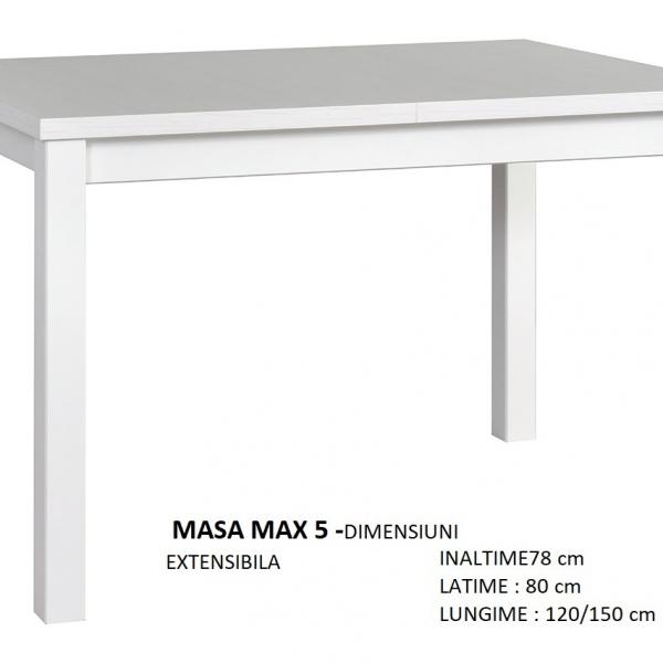 MASA MAX V