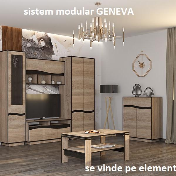 SISTEM GENEVA